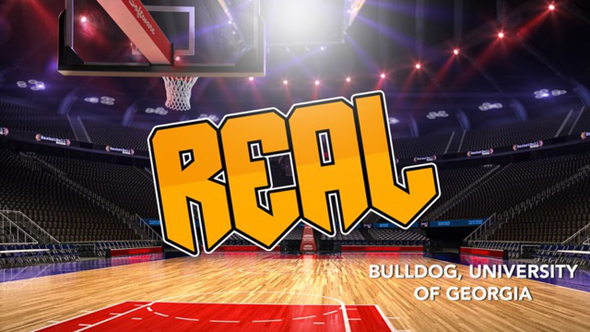 Real or Fake: Mascot Madness Volume 4 & 5 Bundle image number null